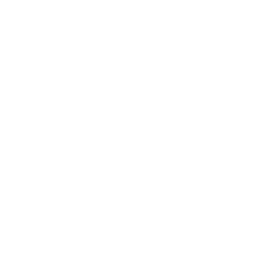 Le Petit New York